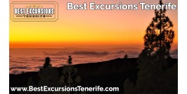 Night Skies Tenerife Stargazing Experience (With Dinner)